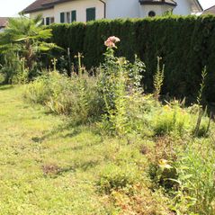 Gärtner - Pflanzen und Gartenpflege S. Rougemont in Unterlunkhofen